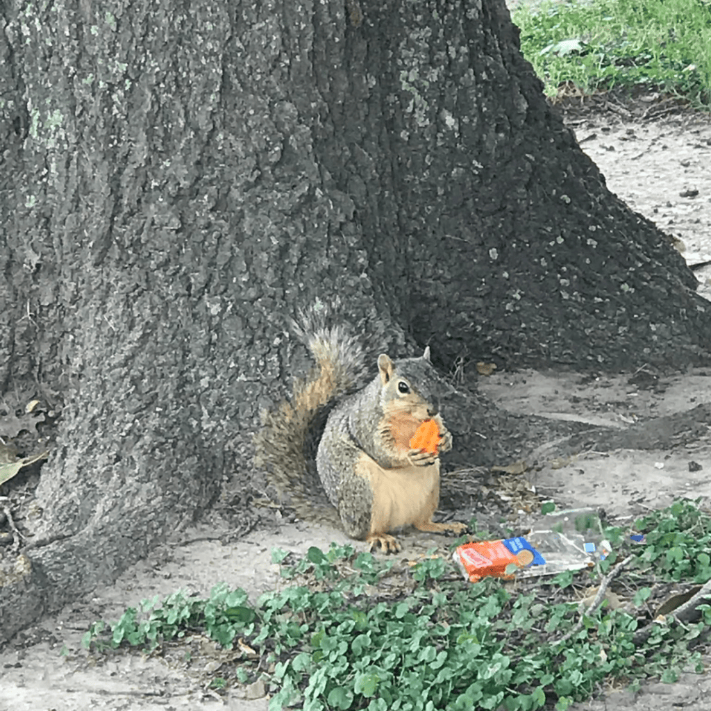 Image accompanying Post Nine: Enjoy little buddy!????❤️⛳️
