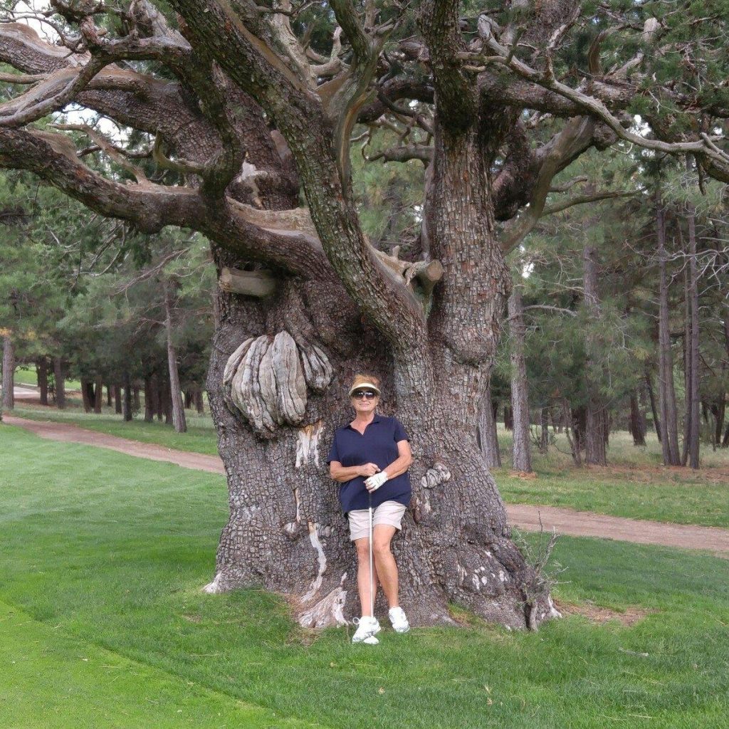 Image accompanying Joyce Skiles Martin