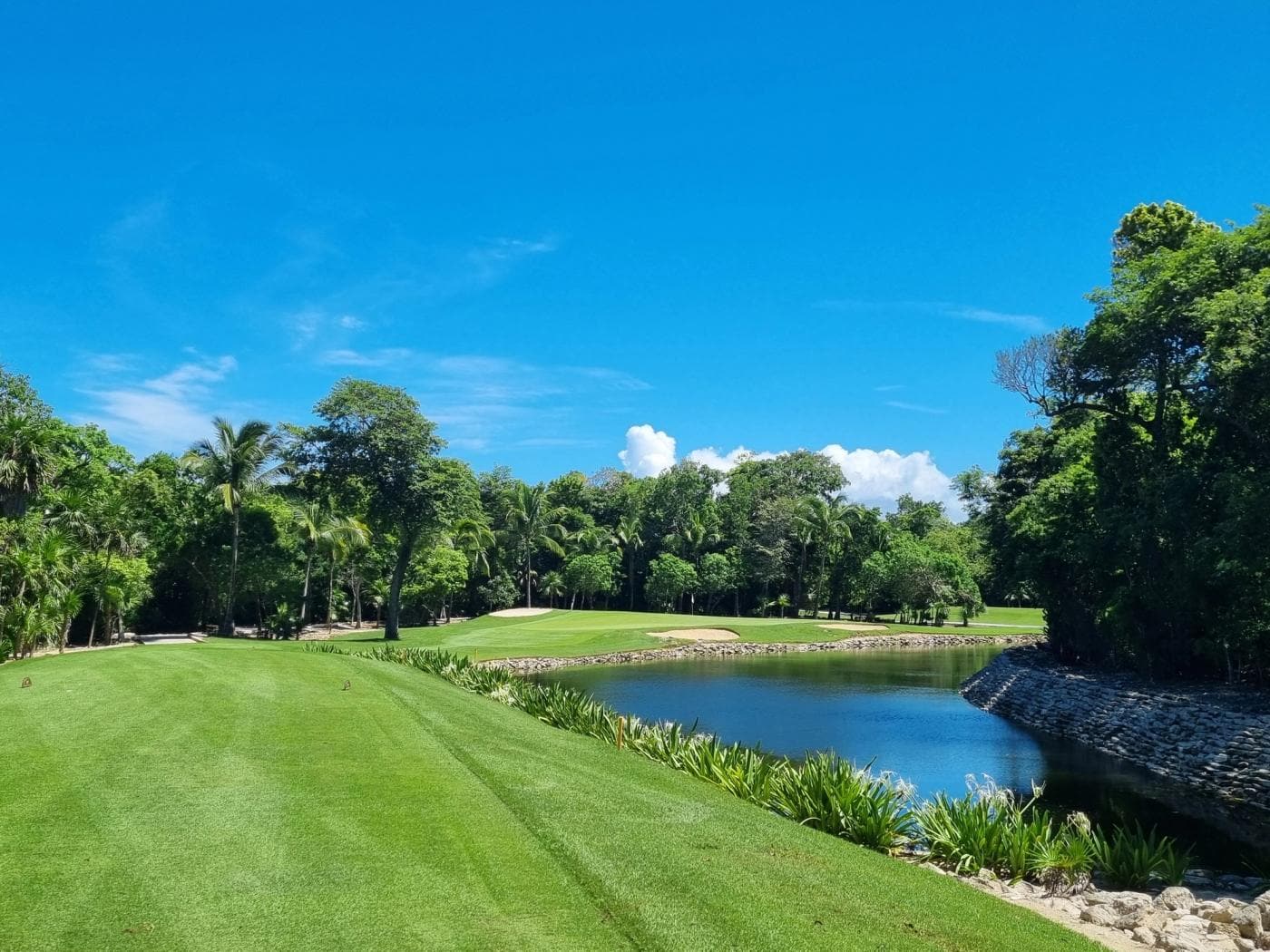 Playa Paraíso championship course